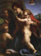 Our Lady of sub Andrea del Sarto